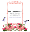 Bed & Breakfast "Angolo di Paradiso"